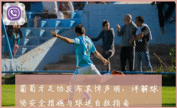 葡萄牙足协发布哀悼声明，详解球场安全措施与球迷自救指南